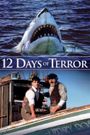 12 Days of Terror