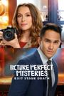 Picture Perfect Mysteries