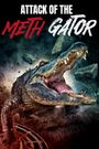 Attack of the Meth Gator