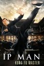 Ip Man: Kung Fu Master