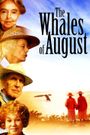 The Whales of August