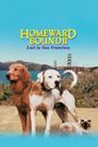 Homeward Bound II: Lost in San Francisco