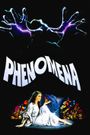 Phenomena