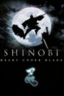 Shinobi: Heart Under Blade