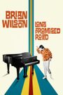 Brian Wilson: Long Promised Road