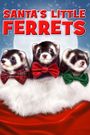 Santa's Little Ferrets