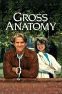 Gross Anatomy