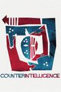 Counterintelligence