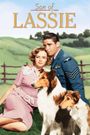 Son of Lassie