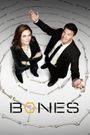 Bones