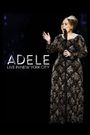 Adele Live in New York City