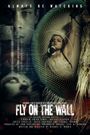 Fly on the Wall