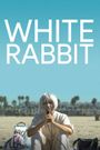 White Rabbit