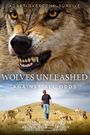 Wolves Unleashed: Against All Odds