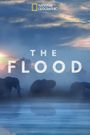 The Flood