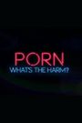 Porn: What's the Harm?