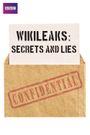 True Stories: Wikileaks - Secrets and Lies