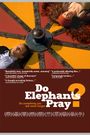 Do Elephants Pray?