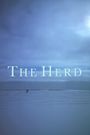 The Herd