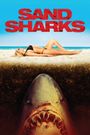 Sand Sharks