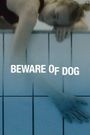 Beware of Dog