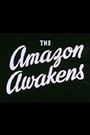 The Amazon Awakens