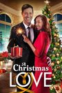 A Christmas Love