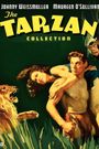 Tarzan: Silver Screen King of the Jungle