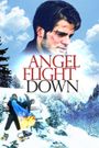 Angel Flight Down