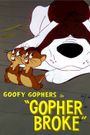 Gopher Broke