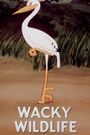 Wacky Wildlife