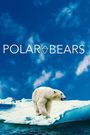 Polar Bears