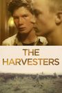 The Harvesters