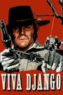 Viva! Django