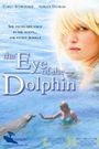 Eye of the Dolphin