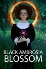 Black Ambrosija Blossom