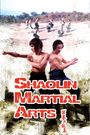 Shaolin Martial Arts