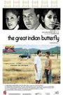 The Great Indian Butterfly