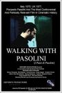 Walking with Pasolini