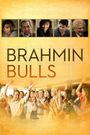 Brahmin Bulls