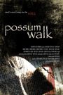 Possum Walk