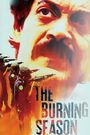 The Burning Season: The Chico Mendes Story