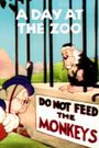 A Day at the Zoo