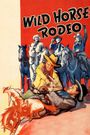 Wild Horse Rodeo