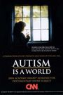 Autism Is a World