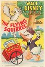 The Flying Squirrel