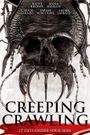 Creeping Crawling