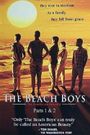 The Beach Boys: An American Family