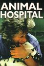 Animal Hospital