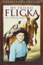 My Friend Flicka